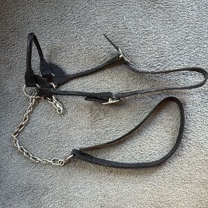 Black Leather & Silver Horse Show Halter & Lead. Chin Chain for Perfect control!